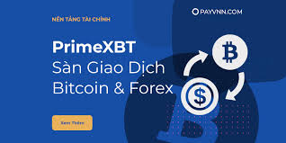 Comprehensive Guide to PrimeXBT Website Comprehensive Guide to PrimeXBT Website