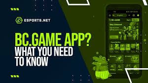 Exploring the Exciting World of BC Game Bet 3