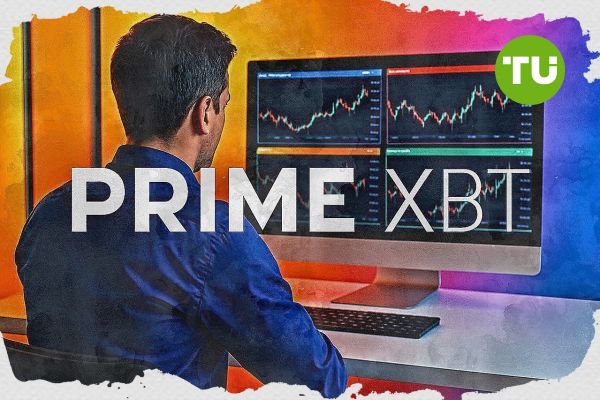 PrimeXBT vs Pocket Option Which Trading Platform is Right for You
