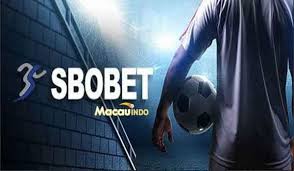 Agen Bola Terpercaya Indonesia Panduan dan Tips Memilih