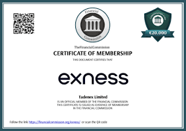 Exploring the Advantages of ECN Exness Trading Platform