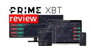 Exploring the Expansion How Many PrimeXBT Users Are There